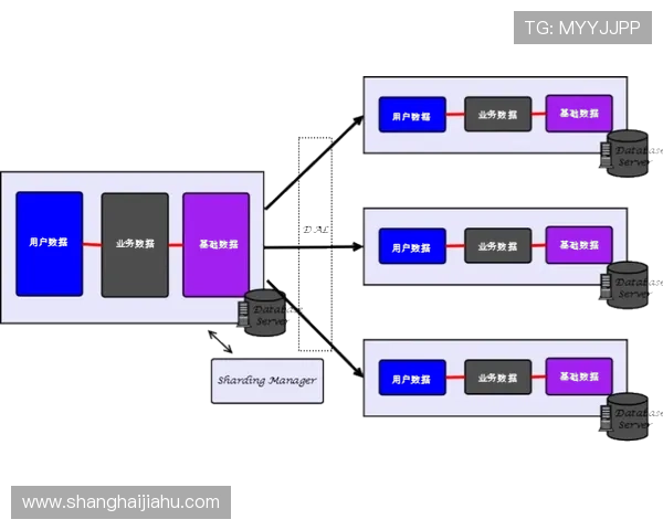 开云网址与其他平台的比较及其优势探讨