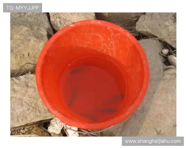 亚博捕鱼：新手入门指南让你快速掌握捕鱼游戏的基本玩法