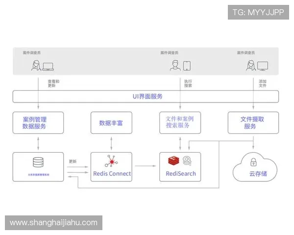 云开官网网页版企业版与个人版功能对比全面分析推荐