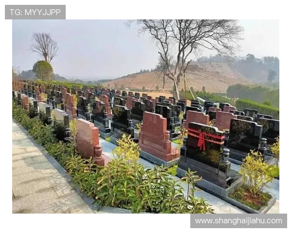 Kaiyun开云平台开户流程详解助你快速开启体育博彩新体验