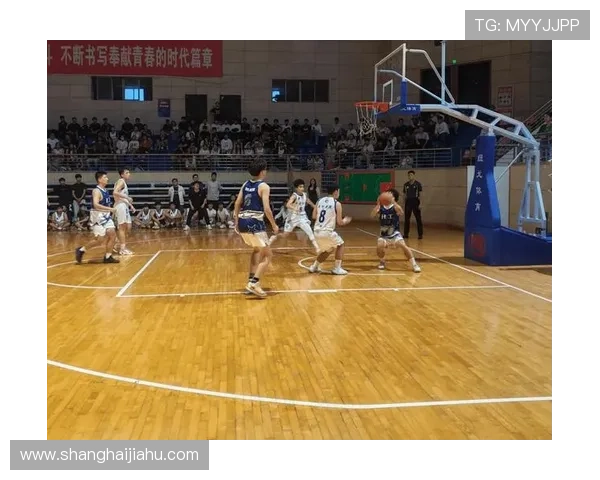 开云爱体育：打造专业化、多元化的体育服务体系，满足不同用户的运动需求