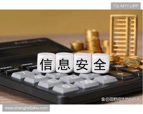 开云官方网页安全保障措施详解保障玩家账号信息安全与隐私保护 开云官方网页安全保障措施详解保障玩家账号信息安全与隐私保护