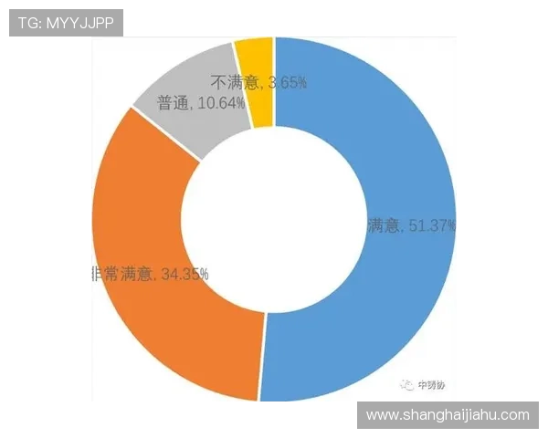 开云平台官网评价：平台优惠活动与奖励机制的用户满意度调查与分析