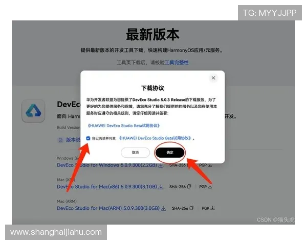 开云手机版下载安装前的准备工作及注意事项确保安装过程顺利无误